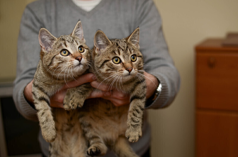 Zdjęcie 7: Wspierajmy 