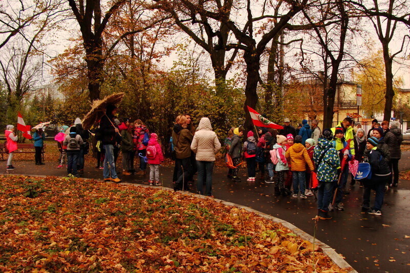 Zdjęcie 6: Wędrówka pod ekoparasolami z PTTK