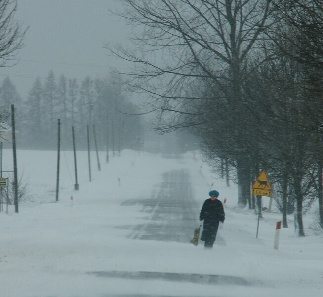 Kto odśnieży drogi powiatowe