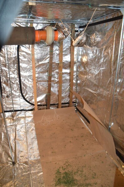 Zdjęcie 5: Znaleźli marihuanę wartą ponad milion złotych