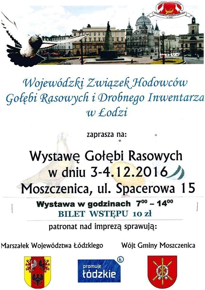 Zdjęcie 2: Wystawa gołębi rasowych w Moszczenicy