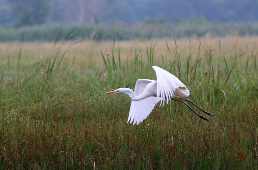 Sebastian nagrodzony za zdjęcie