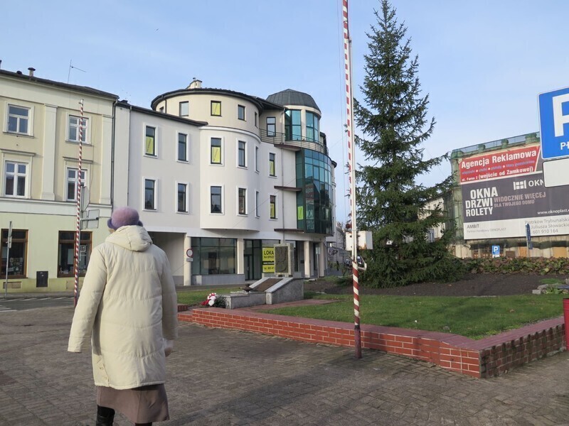 Zdjęcie 3: Piotrków coraz bardziej świąteczny 