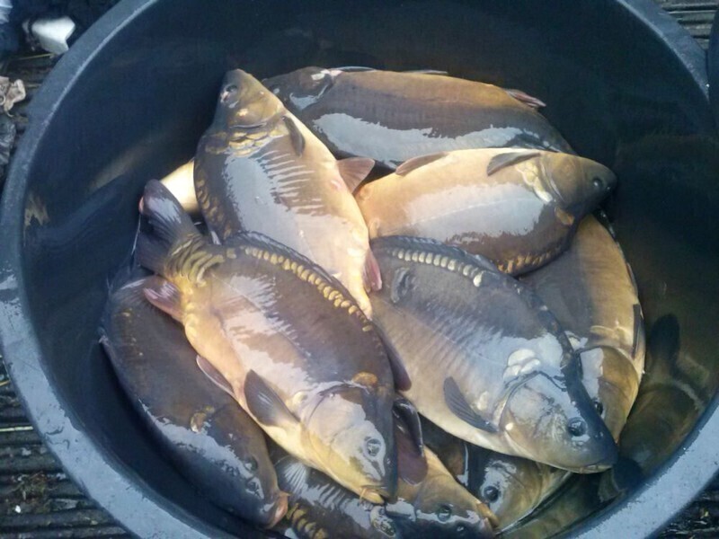 Straż Rybacka wkracza do akcji