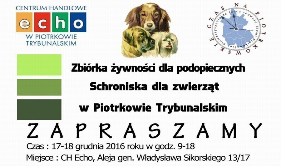 Podaruj prezent bezdomnym zwierzętom