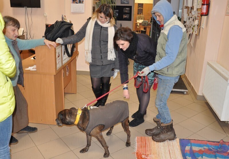 Zdjęcie 5: Młodzi Ludowcy wspierają braci mniejszych