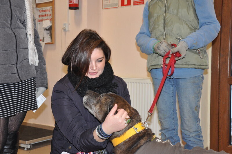 Zdjęcie 6: Młodzi Ludowcy wspierają braci mniejszych