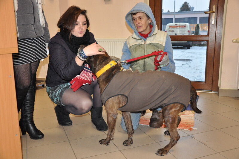 Zdjęcie 7: Młodzi Ludowcy wspierają braci mniejszych