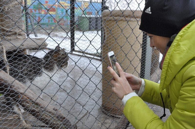 Zdjęcie 9: Młodzi Ludowcy wspierają braci mniejszych