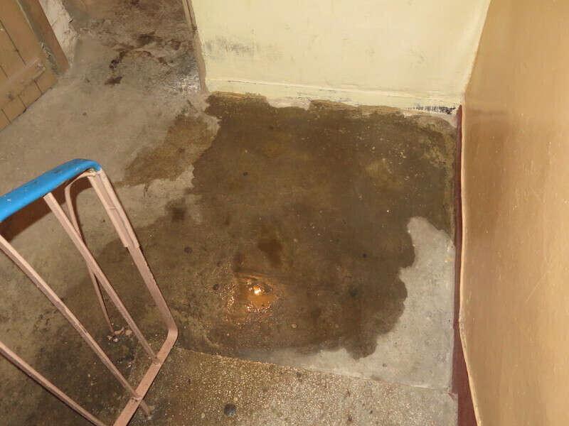 Zdjęcie 10: Zalane mieszkania na Wyzwolenia