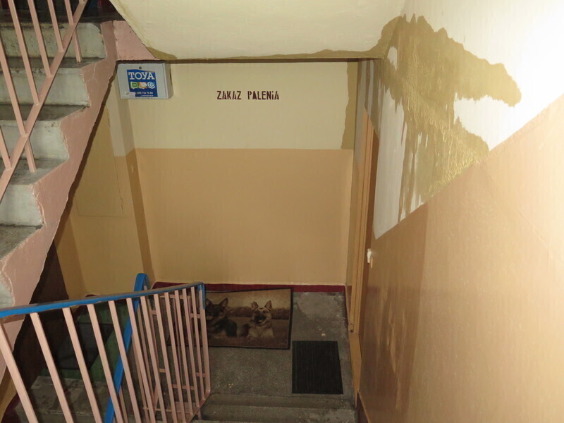 Zdjęcie 17: Zalane mieszkania na Wyzwolenia