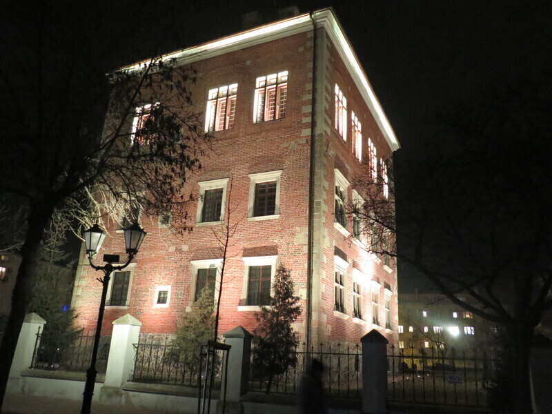 Zdjęcie 16: Fajerwerki na otwarcie Placu Zamkowego