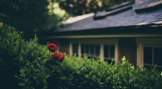 Ustawne mieszkanie, czyli jakie?