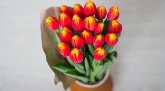 Pamiętajcie o Dniu Kobiet!