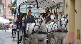 Bryczką po Starym Mieście 