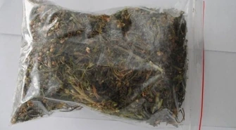 Zatrzymani z marihuaną 