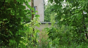 Dzika dżungla przy Batorego. Kto chętny? 