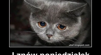 Nie lubię poniedziałku! Jak mieszkańcy województwa łódzkiego radzą sobie ze stresem?