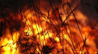 Podpalał, bo lubił patrzeć na ogień 