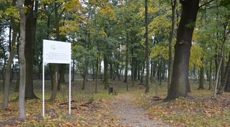 Odnowili park wiejski w Grabicy 