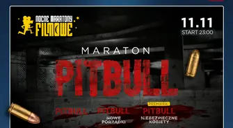 NMF przestawia „Maraton Pitbulla” w kinach Helios!