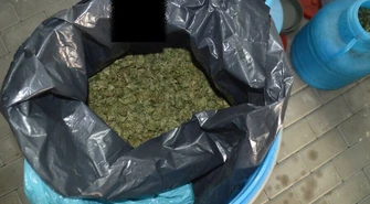 Znaleźli marihuanę wartą ponad milion złotych