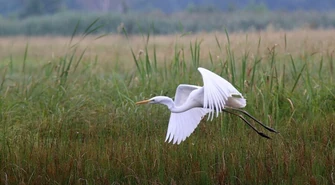 Sebastian nagrodzony za zdjęcie 