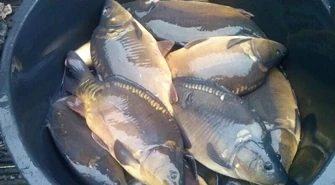 Straż Rybacka wkracza do akcji 