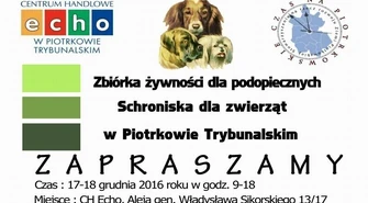 Podaruj prezent bezdomnym zwierzętom