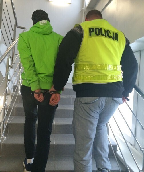 Do 10 lat więzienia za włamanie i kradzież pluszaków