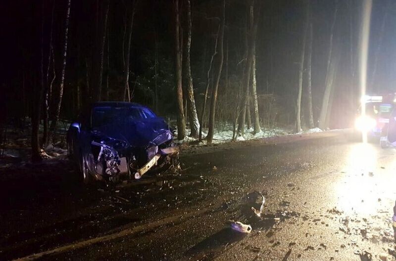 Zdjęcie 1: Nagle na jezdnię wbiegł... koń 