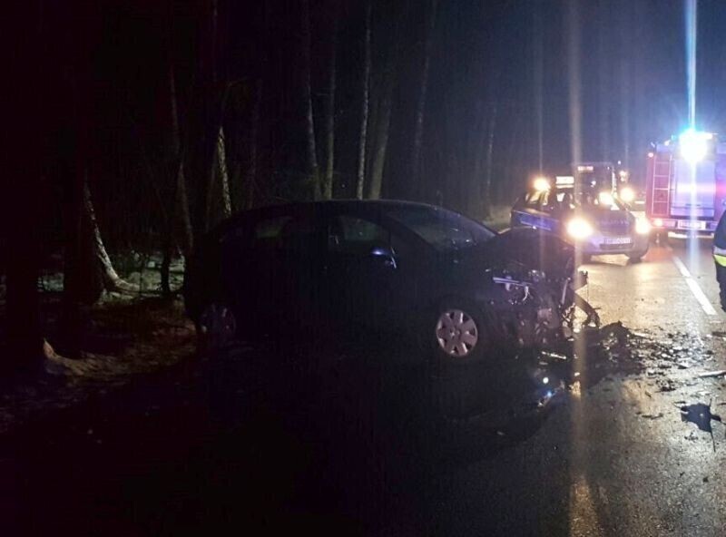 Zdjęcie 2: Nagle na jezdnię wbiegł... koń 