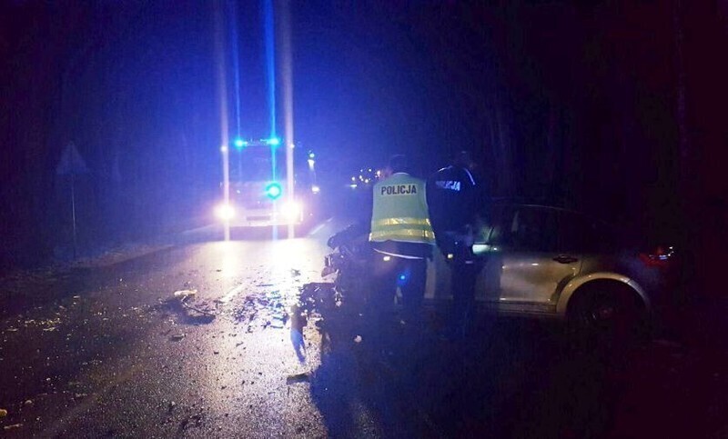 Zdjęcie 3: Nagle na jezdnię wbiegł... koń 