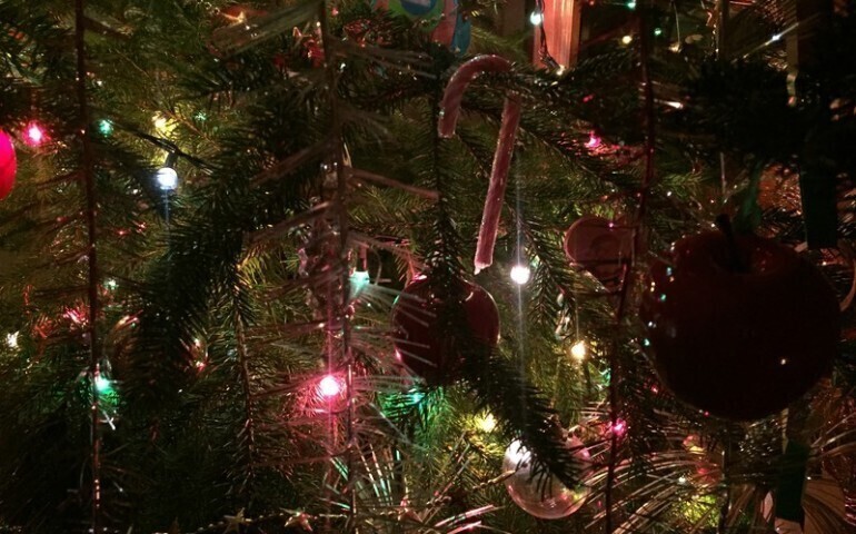 Co zrobić z choinką po świętach