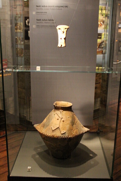 Zdjęcie 8: Archeologiczna Autostrada otwarta