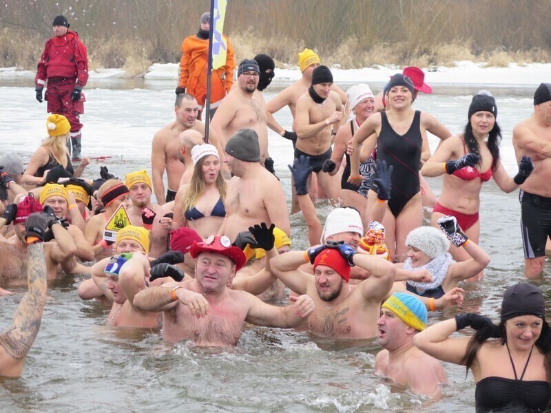 Zdjęcie 1: Morsy są szalone! 