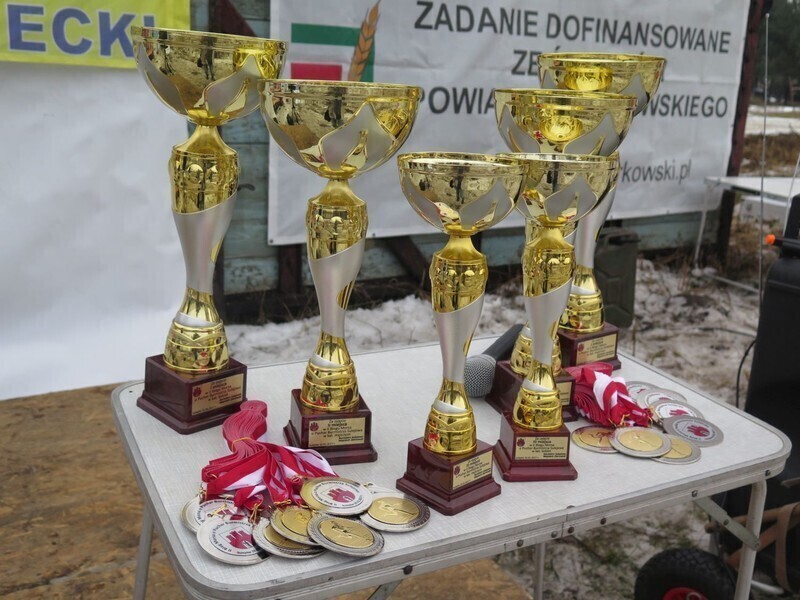 Zdjęcie 3: Morsy są szalone! 