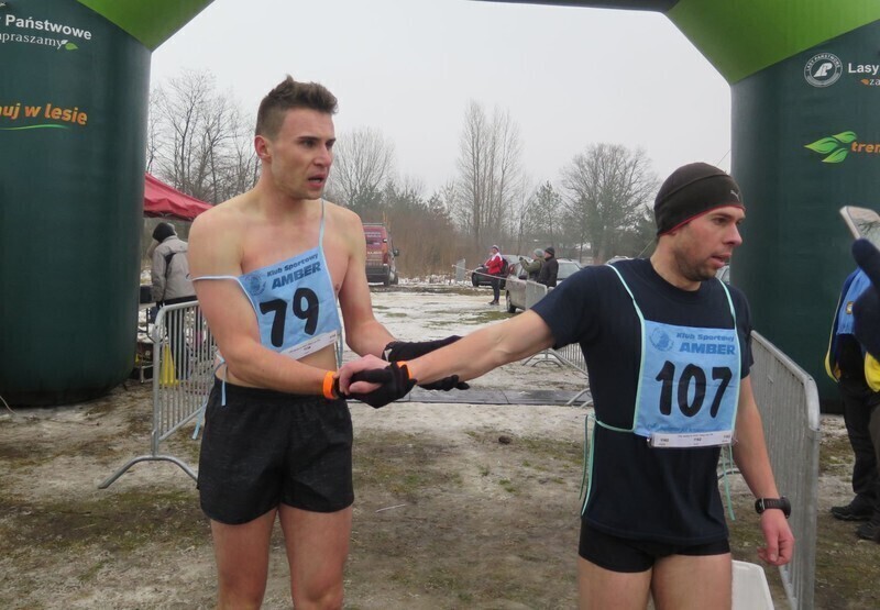 Zdjęcie 4: Morsy są szalone! 