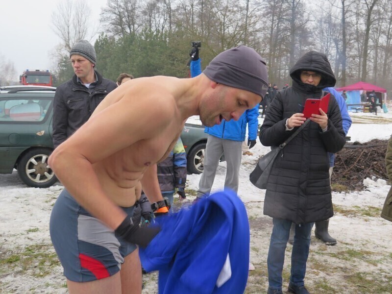 Zdjęcie 7: Morsy są szalone! 