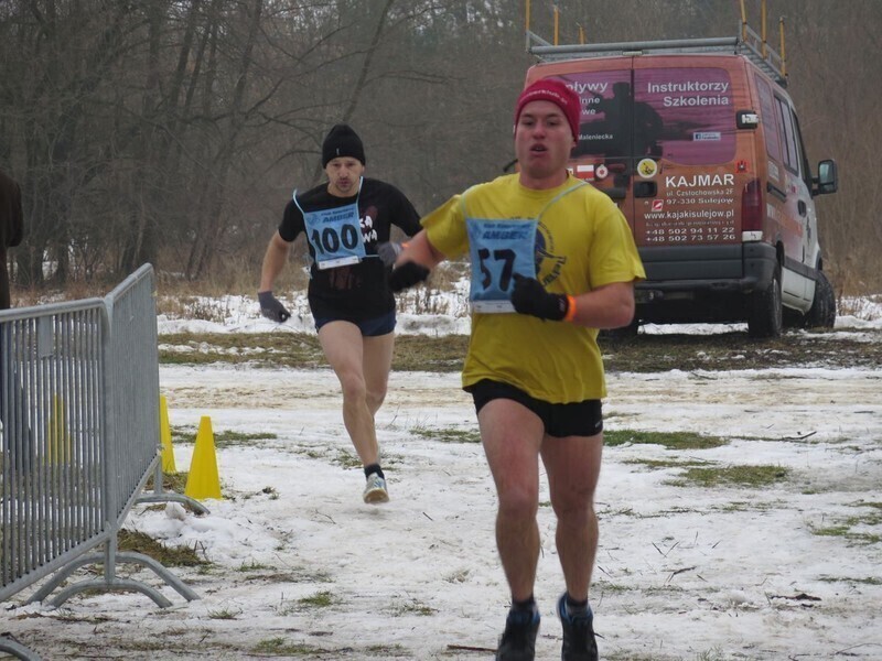 Zdjęcie 8: Morsy są szalone! 