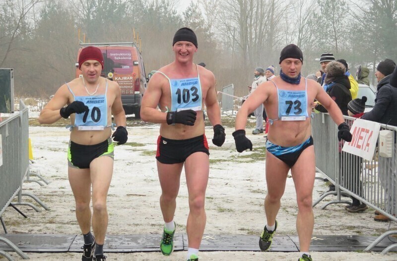 Zdjęcie 13: Morsy są szalone! 