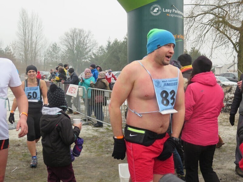 Zdjęcie 21: Morsy są szalone! 