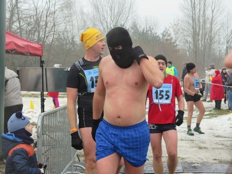 Zdjęcie 23: Morsy są szalone! 