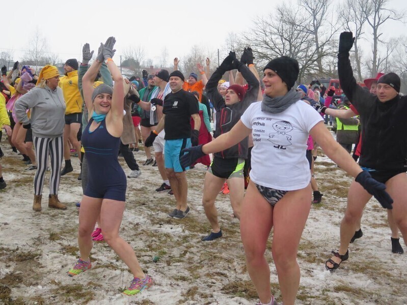 Zdjęcie 32: Morsy są szalone! 