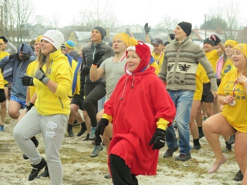 Zdjęcie 33: Morsy są szalone! 