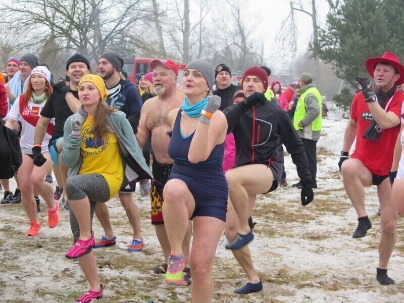 Zdjęcie 34: Morsy są szalone! 