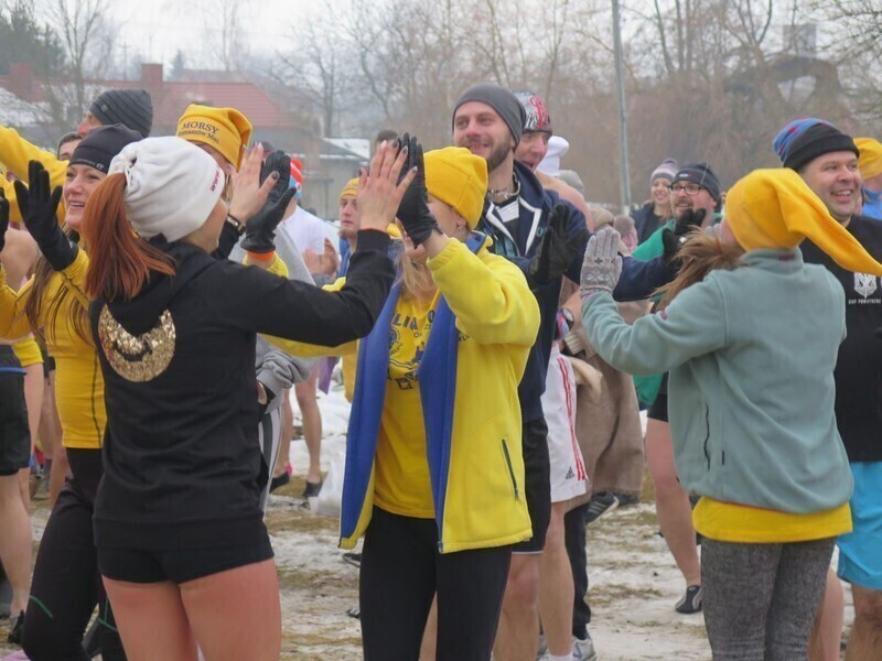 Zdjęcie 35: Morsy są szalone! 