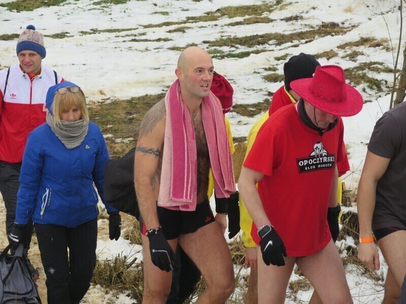 Zdjęcie 36: Morsy są szalone! 