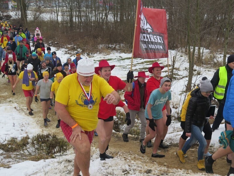 Zdjęcie 39: Morsy są szalone! 