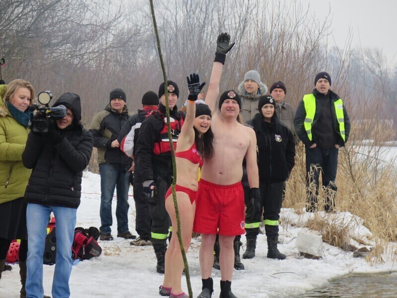 Zdjęcie 41: Morsy są szalone! 